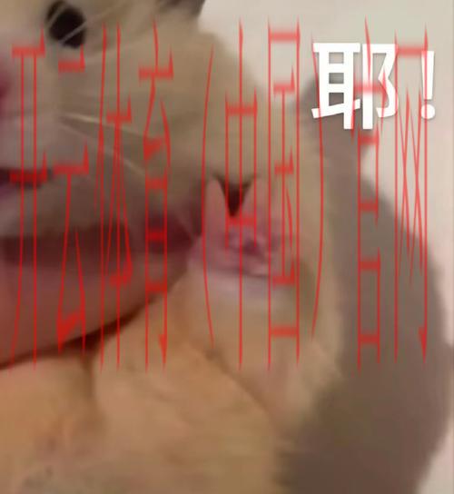 开云体育登录奖励,开云平台充值后获得登录额外红包奖励 开云体育登录奖励,开云平台充值后获得登录额外红包奖励